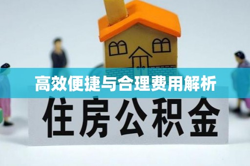 桂东高效便捷与合理费用解析